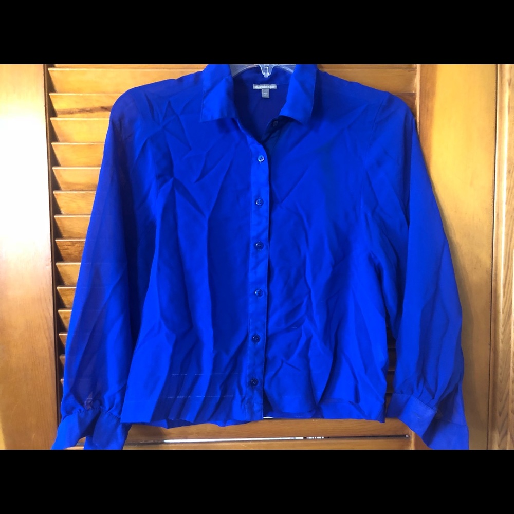 Sheer Blue Blouse!